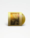 1983 - Flying Lotus RSD