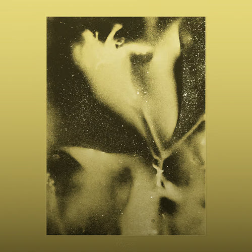 1983 - Flying Lotus RSD