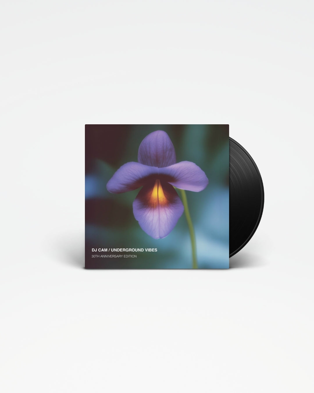 Underground Vibes (30th Anniversary Edition) - DJ Cam