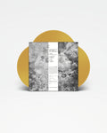 An Odyssey - Delano Smith