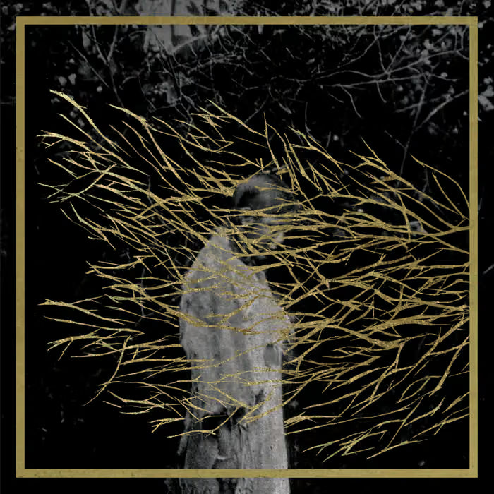 Engravings (Remastered) - Forest Swords