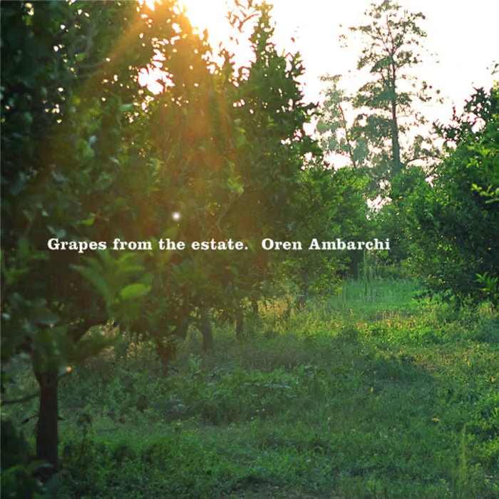 Grapes from the estate - Oren Ambarchi