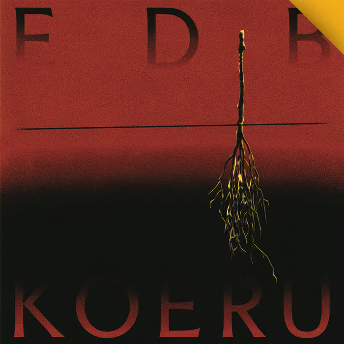 Koeru - EDB - Edoardo Della Bitta