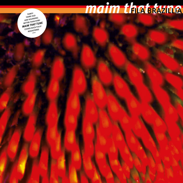 Maim That Tune (2LP,30th Anniversary RE, 2025 RM) - Fila Brazillia