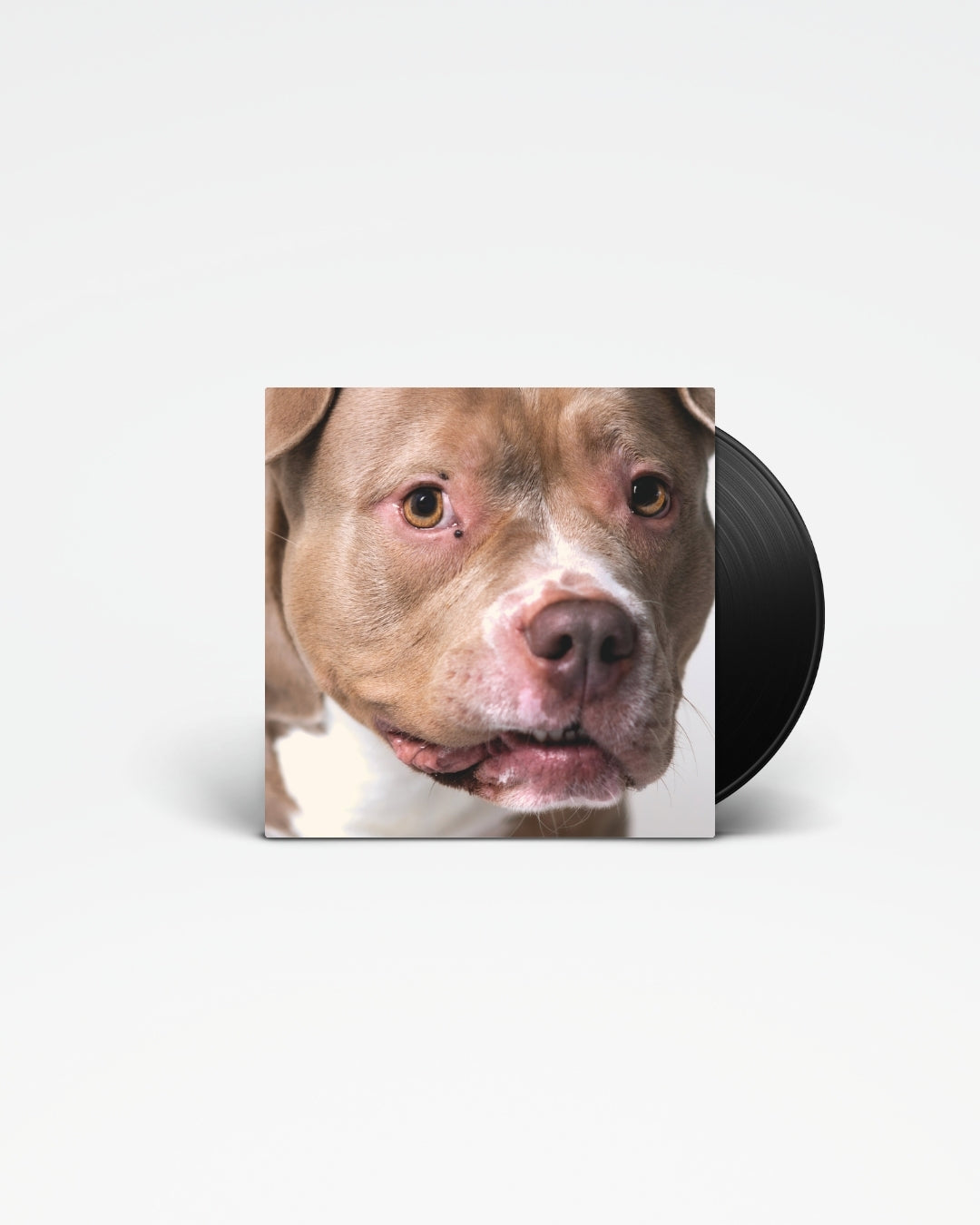 Music For Dogs - Y.O.P.E. & AVVNT MM