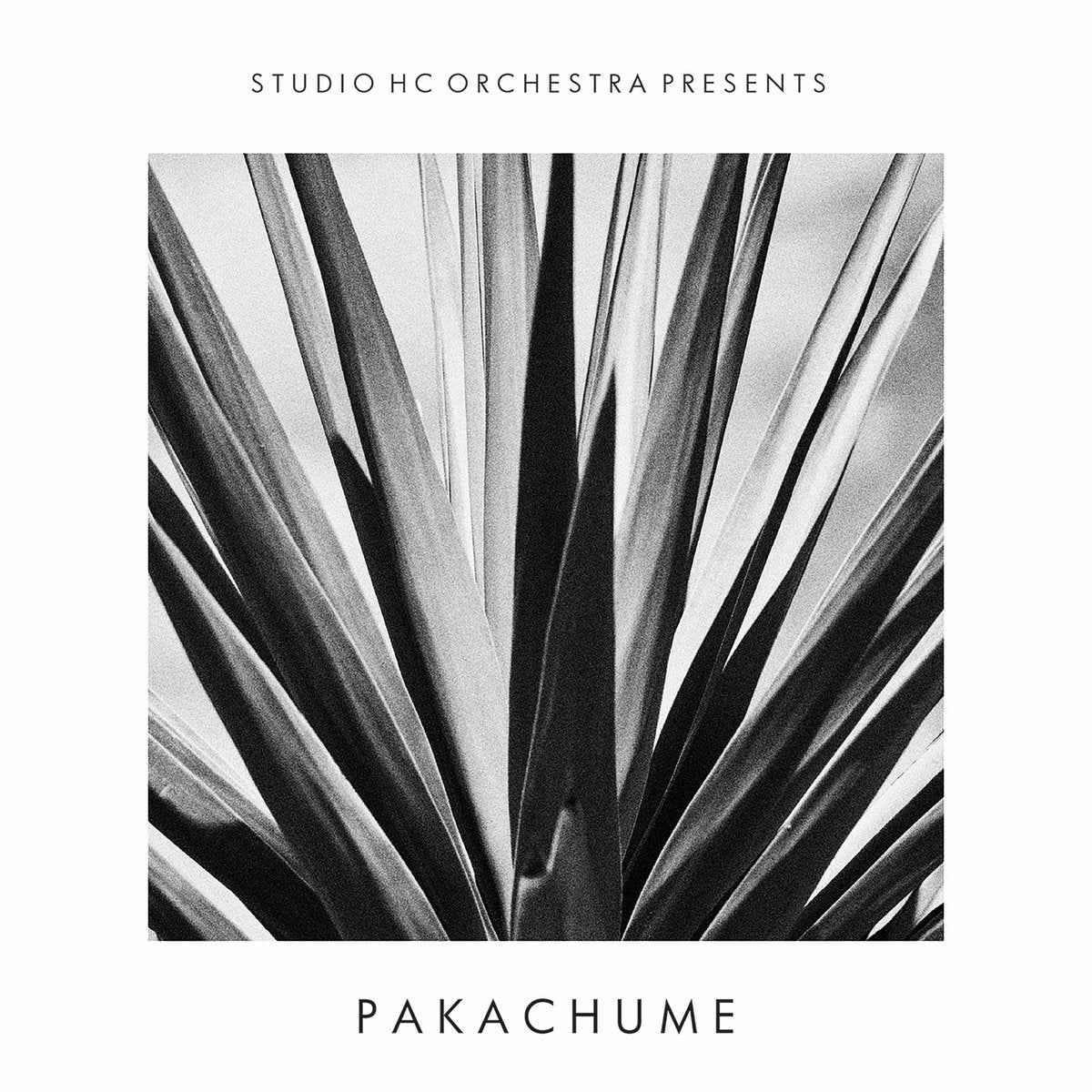 Stack Monthly Listening Club