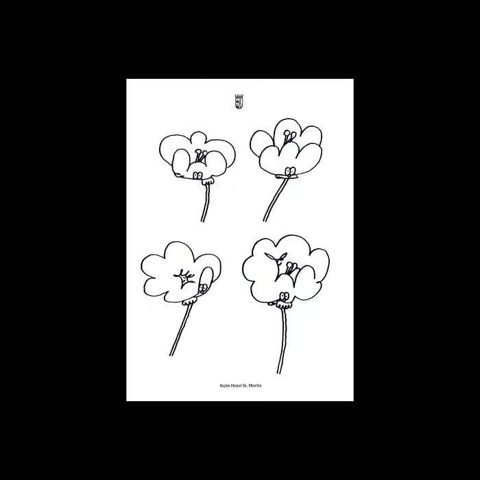 Poppies - Lawrence