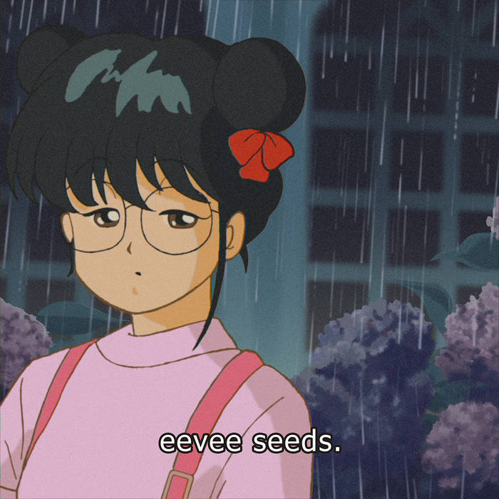 Seeds - Eevee - Stack Records