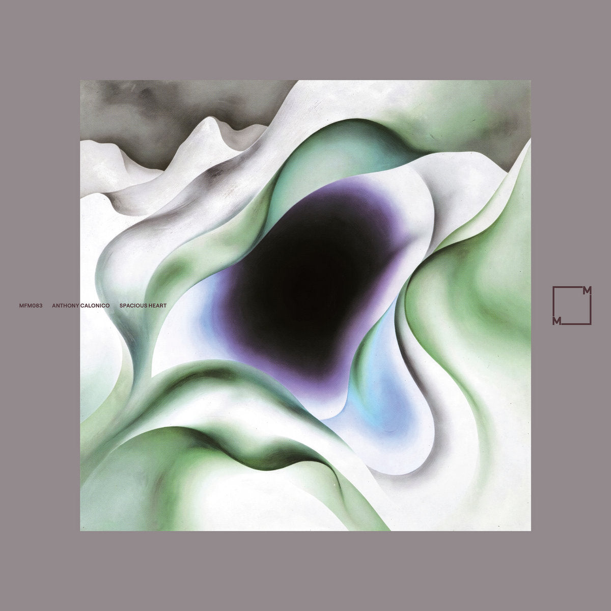 Spacious Heart - Anthony Calonico