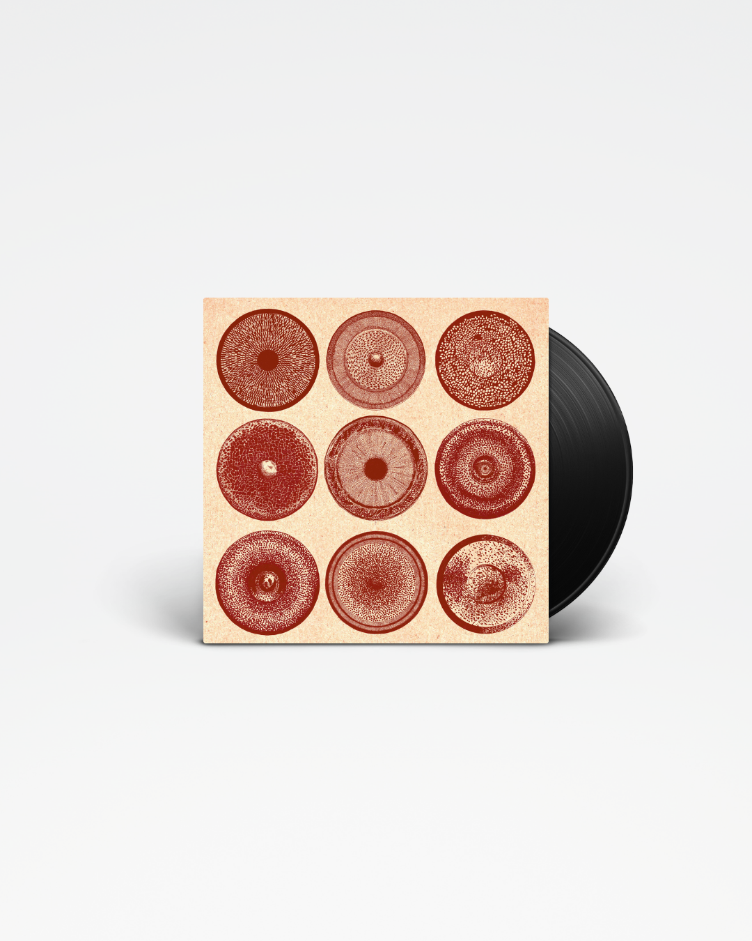 Spilla - ENSEMBLE NIST-NAH