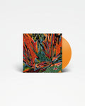 Terra Incognita - Akusmi