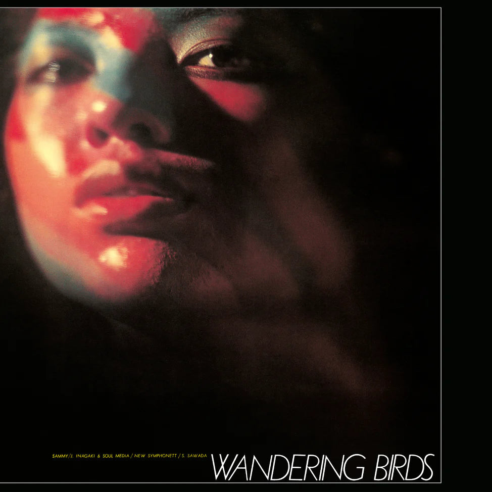 Wandering Birds - Jiro Inagaki & Soul Media (Purple vinyl) - Stack Records