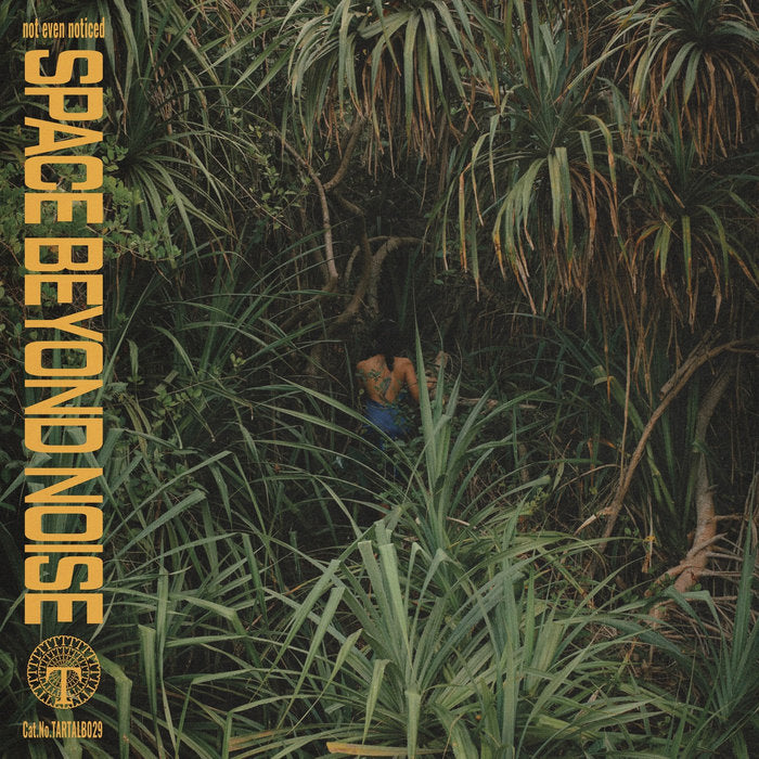 Space Beyond Noise - Not Even Noticed