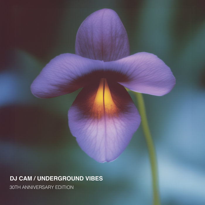Underground Vibes (30th Anniversary Edition) - DJ Cam