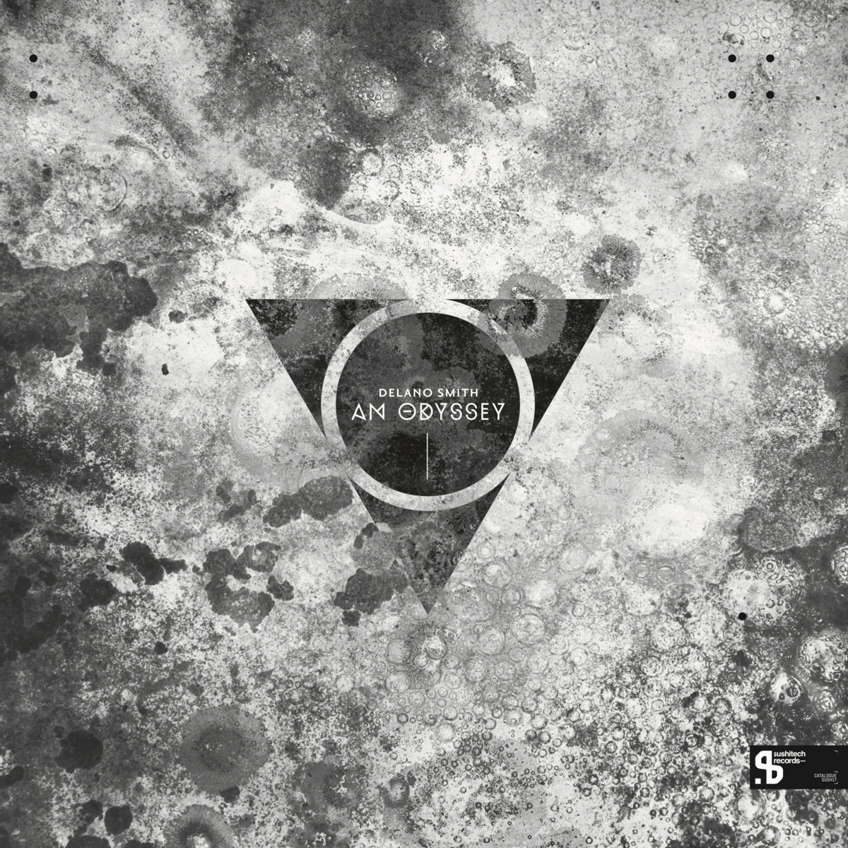 An Odyssey - Delano Smith