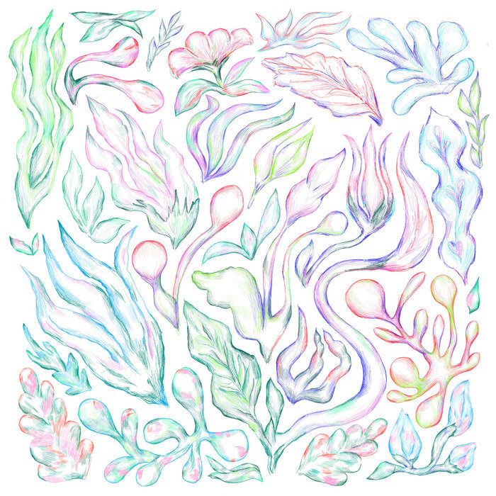 Plants Can Dance (Curated by Auntie Flo) - Various Artists
