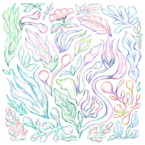 Plants Can Dance (Curated by Auntie Flo) - Various Artists