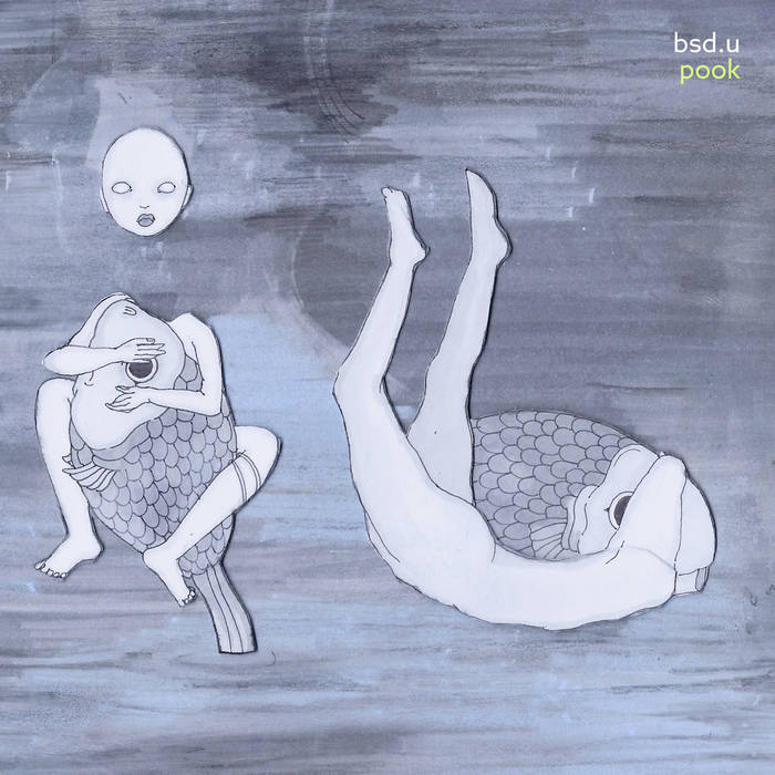 pook -  bsd.u (transparent green)